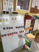 większy obrazek nr 15