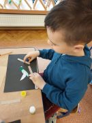 większy obrazek nr 14