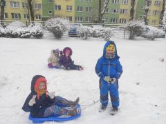 większy obrazek nr 7