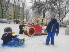 większy obrazek nr 9