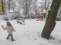 większy obrazek nr 11