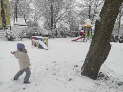 większy obrazek nr 12