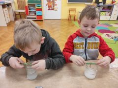 większy obrazek nr 13