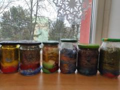 większy obrazek nr 9