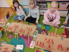 większy obrazek nr 7