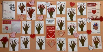 większy obrazek nr 6