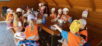 większy obrazek nr 5