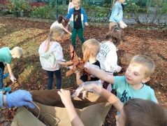 większy obrazek nr 1