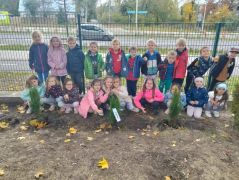 ilustracja do wpisu 
Dzień Drzewa