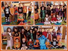 większy obrazek nr 1