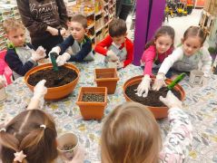 ilustracja do wpisu 
Udział w akcji ekologicznej Dzieciaki Sadzeniaki