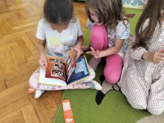 większy obrazek nr 4