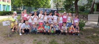 większy obrazek nr 5