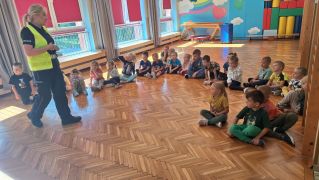 większy obrazek nr 2