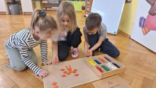 większy obrazek nr 7