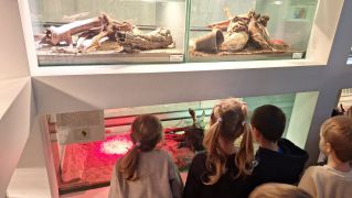 większy obrazek nr 2