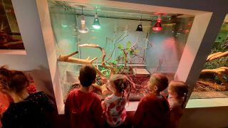 większy obrazek nr 3