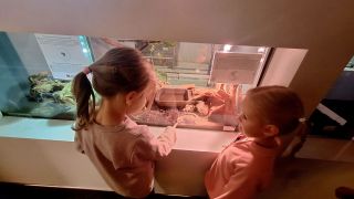 większy obrazek nr 4