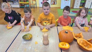 większy obrazek nr 7