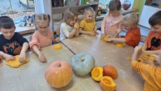 większy obrazek nr 8