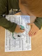 większy obrazek nr 8