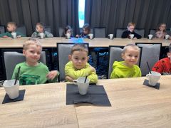 większy obrazek nr 6