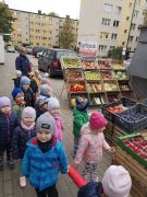 większy obrazek nr 46