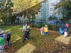 ilustracja do wpisu 
Zbieramy dary jesieni