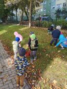 większy obrazek nr 4