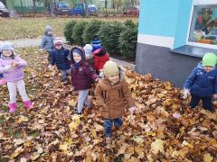 większy obrazek nr 5