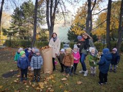 większy obrazek nr 6