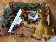 większy obrazek nr 9