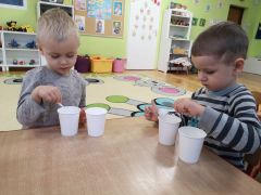 większy obrazek nr 13