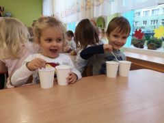 większy obrazek nr 15