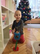 większy obrazek nr 12