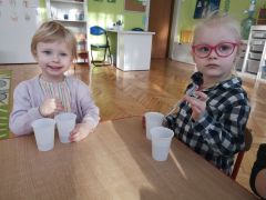 większy obrazek nr 2