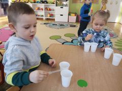 większy obrazek nr 5