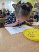 większy obrazek nr 8