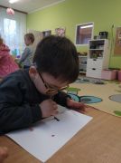 większy obrazek nr 9