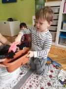 ilustracja do wpisu 
Zakładamy zielony ogródek w naszej sali