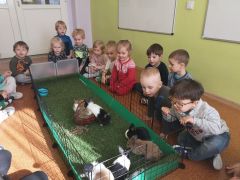 większy obrazek nr 5