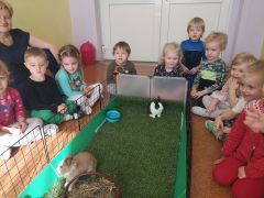 większy obrazek nr 7