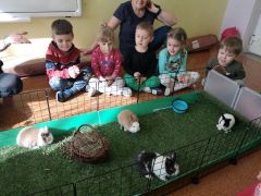 większy obrazek nr 8