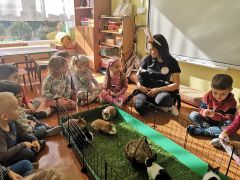 większy obrazek nr 9