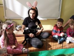 większy obrazek nr 10