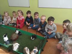 większy obrazek nr 11