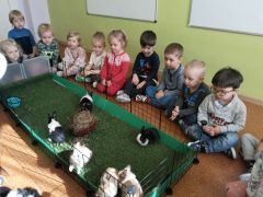 większy obrazek nr 12