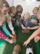 większy obrazek nr 14