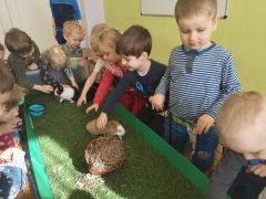 większy obrazek nr 15