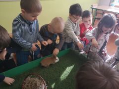 większy obrazek nr 16